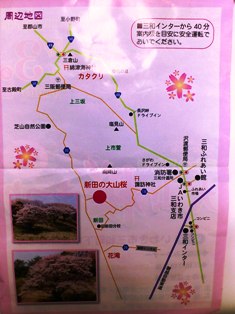 ���Υ��饷΢